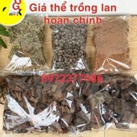 2 CHẬU GIÁ THỂ trồng lan hoàn chỉnh về chỉ việc chơi CB2GTL