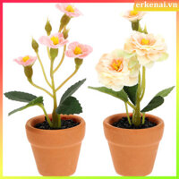 2 Chiếc Cây Thu Nhỏ Chậu Hoa Trang Trí Mô Phỏng Chậu 9x3cm Vải Hoa Gốm Chậu Hoa erkenai