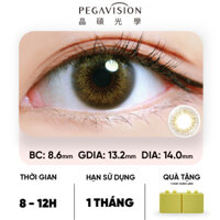 2 Chiếc Kính Áp Tròng PEGAVISION Lens 1 Tháng Chestnut Brown Màu Nâu Vàng - Forest Miracle | BTP Viet Nam