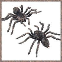 2 Chiếc Lớn 9,5Cm Giả Thực Tế Nhện Côn Trùng Mô Hình Đồ Chơi Vui Nhộn Halloween Đáng Sợ Chống Đỡ