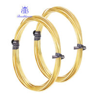 2 Cuộn Dây Đồng Thủ Công Flat Raw (Chưa mạ) 1x0.2mm khoảng 19,69 Feet (6m) / Roll