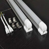 2 Đèn tuyp Led T8 1m2 20w liền máng sáng trắng-vàng KOWO