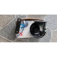 2 kèn sò vỏ màu trắng