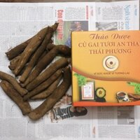 2 kg Củ Gai Tươi - An Thái Phương