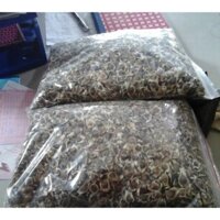 2 KG HẠT GIỐNG CÂY CHÙM NGÂY [ HẠT TUYỂN CHỌN BAO NẢY MẦM ]. [J&T Express] [ FREeShip Extra + XU ExTrA plus ]