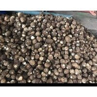 2 kg khoai sọ - khoai trứng tươi ngon hàng chất lượng