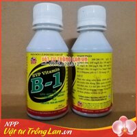 2 lọ phân bón lá đậm đặc cao cấp HVP Vitamin B-1 cho Lan 100ml