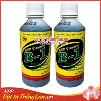 2 lọ phân bón lá đậm đặc HVP Vitamin B-1 cho Lan 250ml