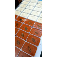 [2 Tặng 1] Sốt Kem Nấm/Sốt Bò Bằm Homemade [Chỉ giao hoả tốc]