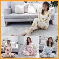 [2 Trong 1] Đồ bộ dài tay bầu và sau sinh cho mẹ cho con bú chất cotton mềm mịn