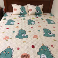 (20-25-30cm) Bộ ga chun trần bông cotton poly dày dặn