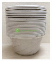 20 Chậu Nhựa Trồng Cây Hoa, Cây Cảnh C180 CN - chậu nhựa Mini C180 CN