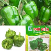 20 HẠT GIỐNG ỚT NGỌT XANH F1  Super Green