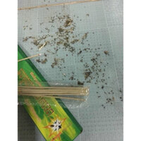20 hộp 600 cây nhang muỗi xanh
