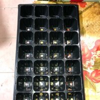 20 KHAY NHỰA GIEO ƯƠM HẠT GIỐNG