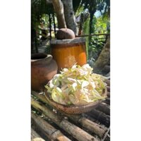 20 lít 🌿🌿 Khạp nước hiên nhà, lu gạo Nam bộ, vại muối dưa cà, khạp làm mắm 🌿🌿