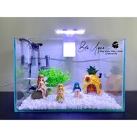 20 SET COMBO BỂ CÁ SIÊU XINH, BỂ CÁ ĐỂ BÀN, BỂ CÁ MINI - TẶNG QUÀ HOT