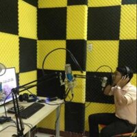 20 tấm mút tiêu âm,cách âm hình trứng.Kích cỡ 1 tấm 40*40cm dày 3cm( đc chọn lựa màu)