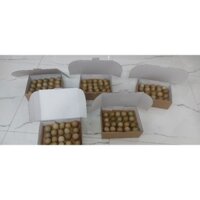 20 trái trứng chim trĩ