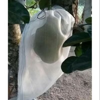 20 TÚI BAO MÍT 50x70 LƯỚI CƯỚC