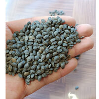 200 GRAM Hạt giống chanh dây quả vàng. [ GIAO HÀNG NHANH ]