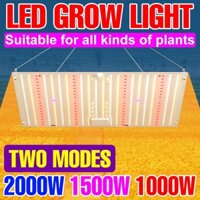 2000W LED Full Spectrum Grow Light Ánh sáng mặt trời cây xanh chiếu sáng AC100-277V Rau trồng nhiều thịt giống ánh sáng