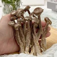 200g Nấm Lộc Nhung Khô [ Loại 1] Nguyên Cây, Không Vụn- Bồi Bổ Sức Khỏe.