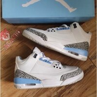 ✉2020 Air Jordan 3 Retro "UNC" Nam