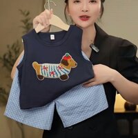 2024 Bộ đồ mới cho bé trai Áo Vest thêu chó con cổ điển + Quần short kẻ sọc Bộ đôi thông thường và đa năng