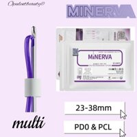 2024 c0g Đèn tường .ttle .ivolt 9w 3000K 23x38mm18 * 100cm Đèn lồng vàng SKY-3124AR-PDOz