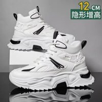 2024 Giày Nam Phong Cách Mới Nhỏ Bên Trong Chiều Cao Tăng 12cm10 Giày Cao Cấp Đế Dày Nam Thể Thao Bố Giày