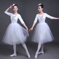 2024 Người Lớn Lãng Mạn Ballet Tutu Luyện Tập Váy Thiên Nga Trang Phục Cho Nữ Dài Tulle Đầm Màu Trắng Ballet Mặc