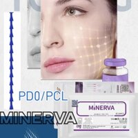 2024 SKY-34AR-PDO, lục lạc, đèn tường LED ivolt 9w 3000K 1.6x60cm Đèn lồng vàng.pd0z