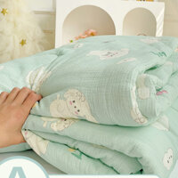 2024Mẫu MớiAChăn Bông Mùa Hè, Chăn Bông Điều Hòa Không Khí, Chăn Bông Mát Mùa Hè, Chăn Bông Mùa Xuân Và Mùa Thu, Chăn Bô