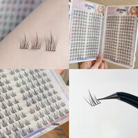 [2025 01 07 Trang điểm] 32 hàng / 384 CÁI Lông mi giả hướng dương 9-10,5mm Thích hợp cho nhiều dịp