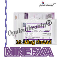 2025 c0g Đèn Tường Trận Bivolt 9w 3000K 23x38mm19 * 100cm pdoo Đèn Lồng Vàng Pc1