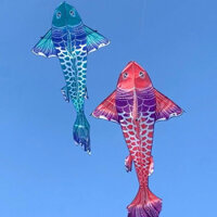 {2025} [MUA 1 ĐƯỢC 2] Diều cá koi đuôi xoè - TẶNG 150 mét dây + túi (diều 3D, diều giá rẻ, diều đẹp, con diều) diều