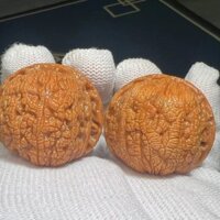 2025 Phong cách mới (Dragon Ball) Qin Ling Wild Play Walnuts