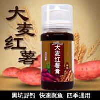 2025 Sản Phẩm Mới Câu Cá Mùa Xuân Nhỏ Nồng Độ Cao Lúa Mạch Khoai Tây Đỏ Dán Hố Đen Cá Chép Cá Chép Mồi Tiếp Liệu Pass-Killing Formula Daquan20250327
