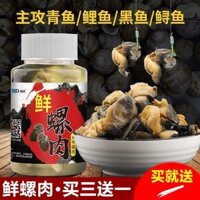 2025 Sản Phẩm Mới Ốc Thịt Mồi Câu Cá Hoang Dã Cá Chép Cá Mồi Cá Đen Hố Đen Hồ Kho Vít Thịt Các Hạt Câu Cá Thực Phẩm20250318
