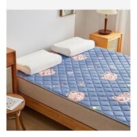 2025Thảm Tatami Thảm Lụa Lạnh Mùa Hè Thảm Trải Giường Đệm Mềm Cho Học Sinh Ký Túc Xá Đơn Lẻ Mùa Đông Và Mùa Hè Gấp Loại