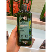 [2026] Dầu Gội Dành Cho Tóc Dầu Bết Dính Refresh Purifying Shampoo Sulfate Free Bottle Yves Rocher 300ml