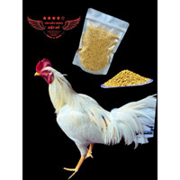 (20kg tặng 1kg) Cám gà siêu trọng cho gà 2-7 tháng tuổi