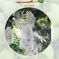 [20x25cm] 100 Túi Bọc Trái Cây Ổi, Bơ, Xoài, Na To... có dây rút, Sử Dụng 3-5 Năm - LOKING