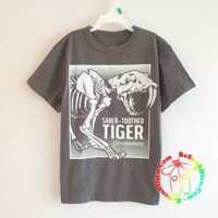 [22kg-27kg] Áo thun bé trai vải thun cotton hàng VN xuất xịn cho bé màu xám xương khủng long