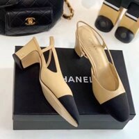 23ss Phong Cách Mới Châu Âu Station Mũi Tròn Dây Sandal Dày Gót Màu Phù Hợp Với Lưng Trống Giày Nữ