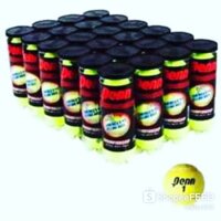 24 HỘP BÓNG TENNIS PEN 3 TRÁI (1 THÙNG PENN 3)