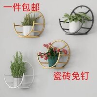 [2417 Lời khen ngợi của mọi người] Giá đỡ chậu hoa treo tường ban công đơn giản Phòng ăn Phòng khách Treo tường Màu xanh lá cây trang trí Lưu trữ Đế hoa Gạch men Không thủng S8NJ
