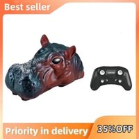 2.4ghz Rc Đồ Chơi Điều Khiển Từ Xa Thuyền Chống Nước Bể bơi Đồ Chơi Trẻ Em Cho Quà Tặng Sinh Nhật