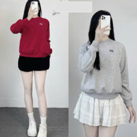 24H[Lót Nhung] Áo sweater nỉ lót nhung thêu chữ bigsize RSun, Áo hoodie nỉ lông cáo dày dặn logo thêu basic 347